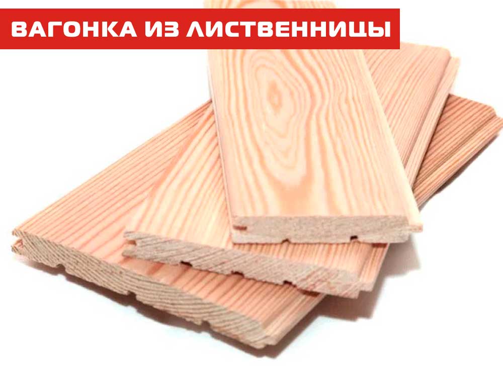 Лиственница